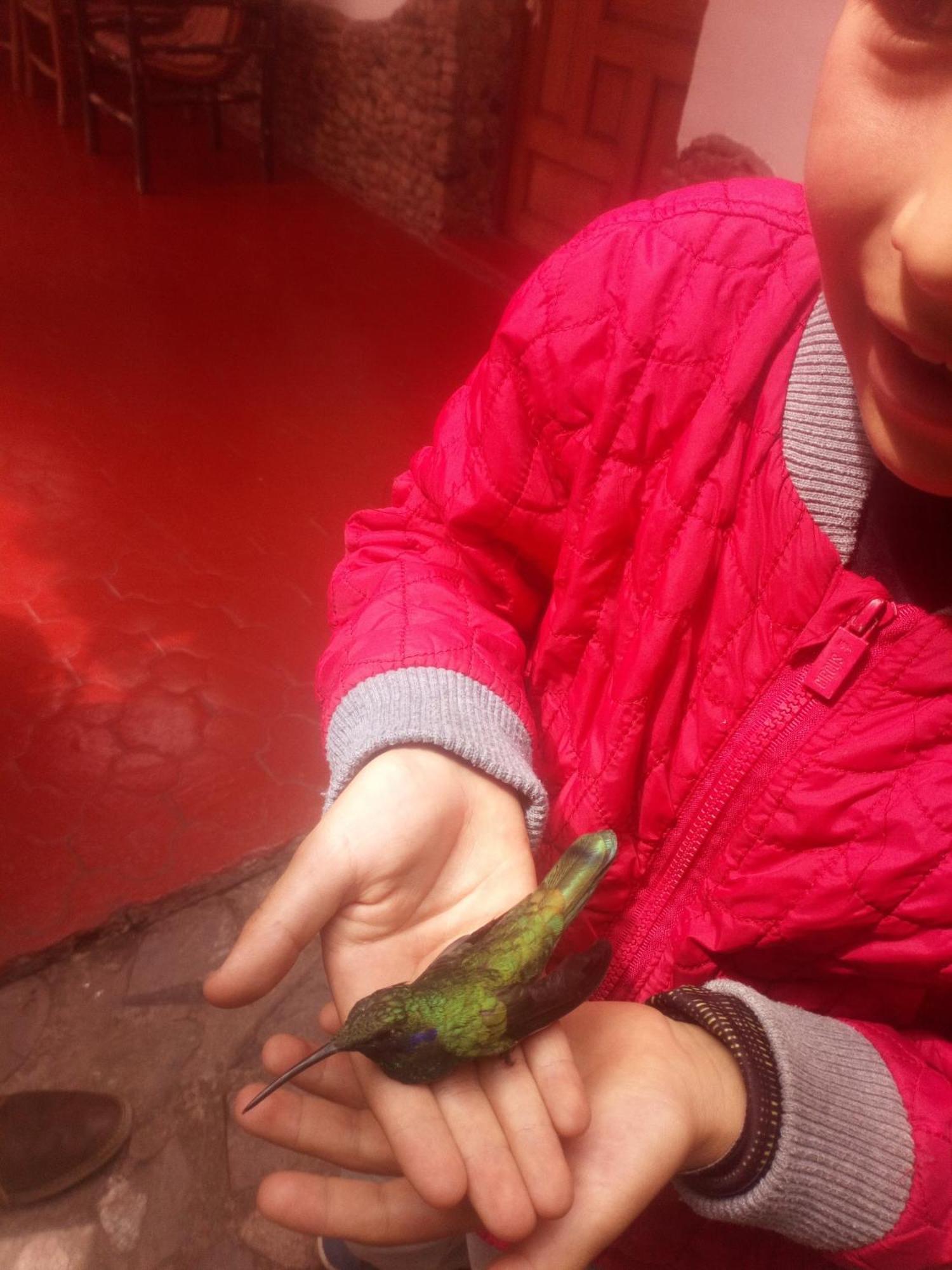 Ecolodge Ccatan Urubamba Kültér fotó