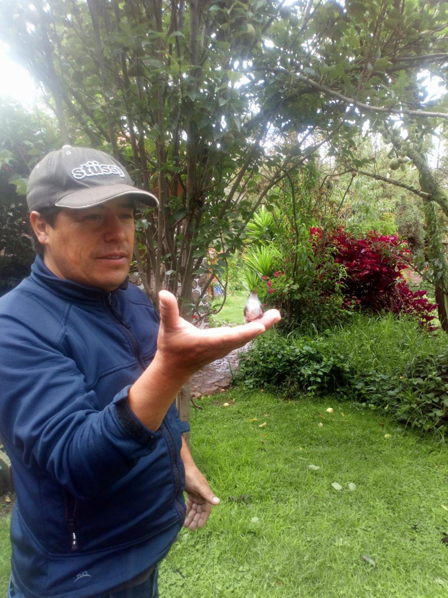 Ecolodge Ccatan Urubamba Kültér fotó