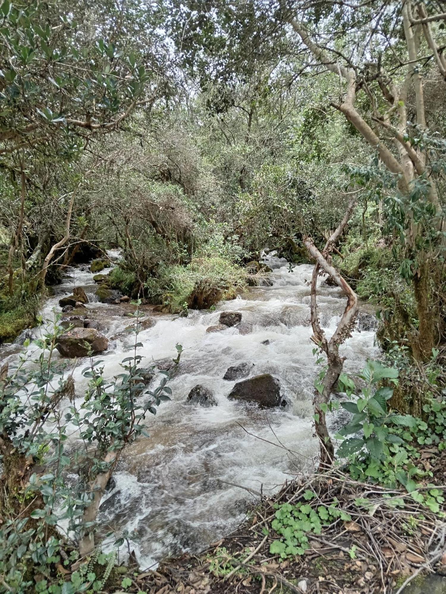 Ecolodge Ccatan Urubamba Kültér fotó